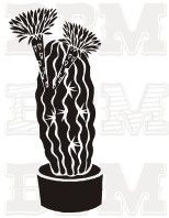 /album/fotogaleria-kvety-stromy/kvety-33-jpg/